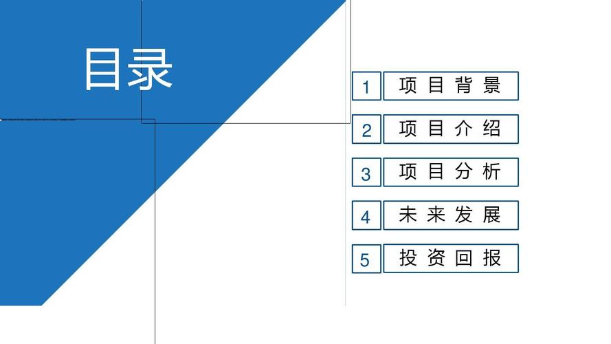多彩几何 公司商务公关策划与项目策划服务方案